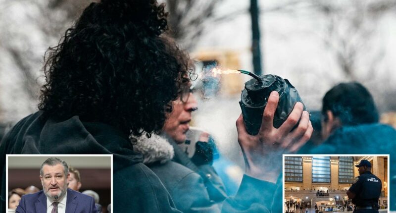 Terror threat 'higher now than itâs been in decades,' Sen. Ted Cruz warns